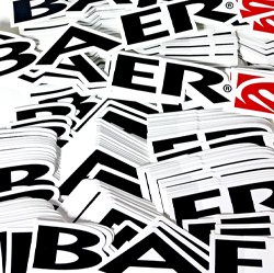 Small Baer Decal